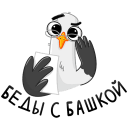 Стикер Чайка Сэм #48 ВКонтакте