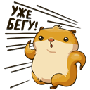 Sticker Senya #18 VK