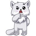 Պիտակն Արկտի #13 VK