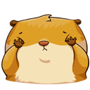 Stiker Aşiq Senya #16 ВКонтакте