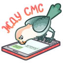 Sticker Lovebirds #24 VK