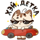 Стикер Котик #17 ВКонтакте