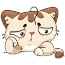 Стикер Котик #27 ВКонтакте