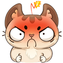 Стикер Котик #38 ВКонтакте