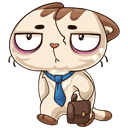 Стикер Котик #42 ВКонтакте