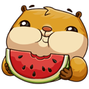 Стыкер Лета з Сенем #4 УКантакце