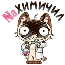 Sticker Zile de studii #2 VK