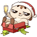 Стикер Зимний Котик #4 ВКонтакте