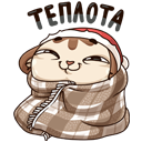 Стикер Зимний Котик #6 ВКонтакте
