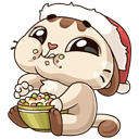 Стикер Зимний Котик #7 ВКонтакте