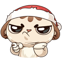 Стикер Зимний Котик #18 ВКонтакте