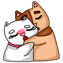 Стикер Котики #9 ВКонтакте