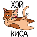 Стикер Котики #11 ВКонтакте