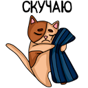 Стикер Котики #18 ВКонтакте