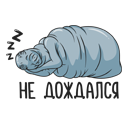 Стикер Ждун #4 ВКонтакте