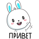 Стикер Кролик #1 ВКонтакте