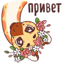 Стикер Кокосик #1 ВКонтакте