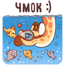 Стикер Кокосик #8 ВКонтакте