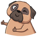 Стикер Бун #3 ВКонтакте