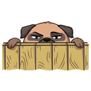 Стикер Бун #41 ВКонтакте