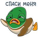 Стикер Стивен #31 ВКонтакте