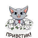 Стикер Анфиса возвращается! #7 ВКонтакте