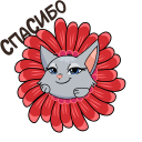 Стикер Анфиса возвращается! #10 ВКонтакте