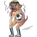 Стикер Гав-гав #45 ВКонтакте