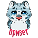 Стикер Кошачьи нежности #2 ВКонтакте