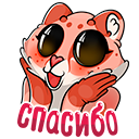 Стикер Кошачьи нежности #7 ВКонтакте