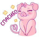 Стикер Тимоша #9 ВКонтакте