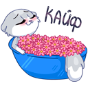 Стикер Нура #7 ВКонтакте