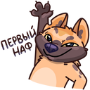 Стикер Гыгыена #1 ВКонтакте