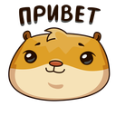 Стикер Анимированный Сеня #2 ВКонтакте