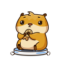 Стикер Анимированный Сеня #10 ВКонтакте