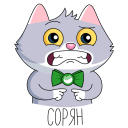 Стикер СберКот и Куся #15 ВКонтакте