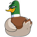 Стикер Утя #9 ВКонтакте