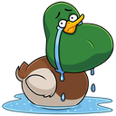 Стикер Утя #19 ВКонтакте