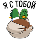 Стикер Утя #32 ВКонтакте