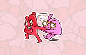 Сердце и Мозг